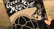 The Show's Flyer