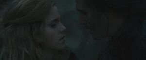 Scabior interrogating Hermione