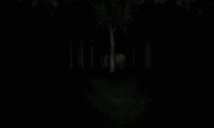 Slender Man's death screen in Slender: The Eight Pages.