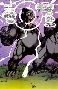 Gorilla Grodd 0036