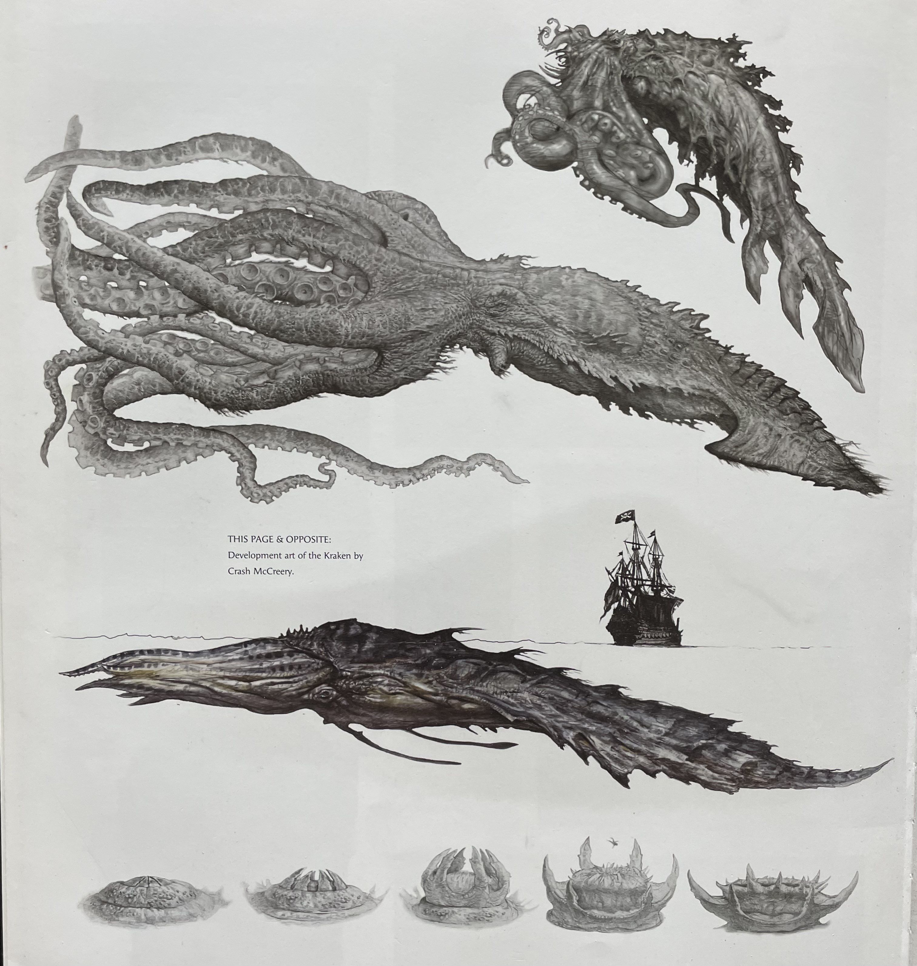 Kraken (Pirates of the Caribbean) | Villains Wiki | Fandom