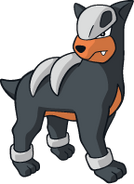 Houndour ♂