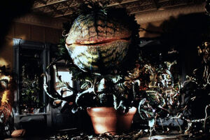 A full depth view of Audrey II at full size.