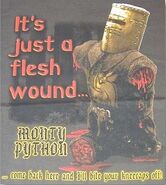 JUST A FLESH WOUND