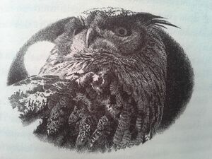 The eagle owl depicted in the pages of Oath Breaker.