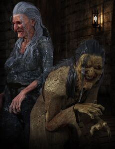 Hag (humanoid) versus Beldam (demonic).