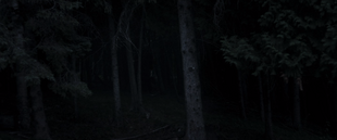 John watching from the forest.