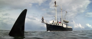 Orca's dorsal fin before Nolan's harpoon grazes it.