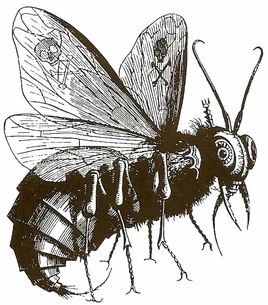 The-demon-beelzebub-the-lord-of-the-flies-1-