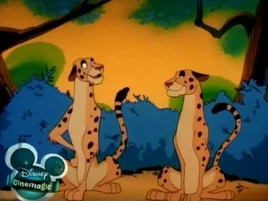 Cheetayta & Cheetahto