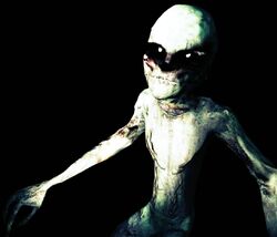 The Rake, from a Witness: 2006 ~ Classic Creepypasta