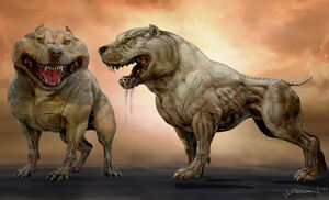 Sammy concept art.
