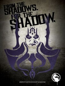 A recruitment poster for the Brotherhood of Shadows with the motto "From the Shadows. For the Shadow."