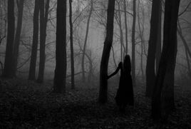 The Lonely One