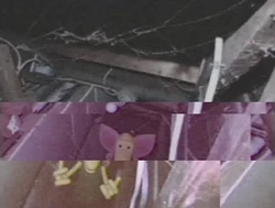 Cipsneed in the basement