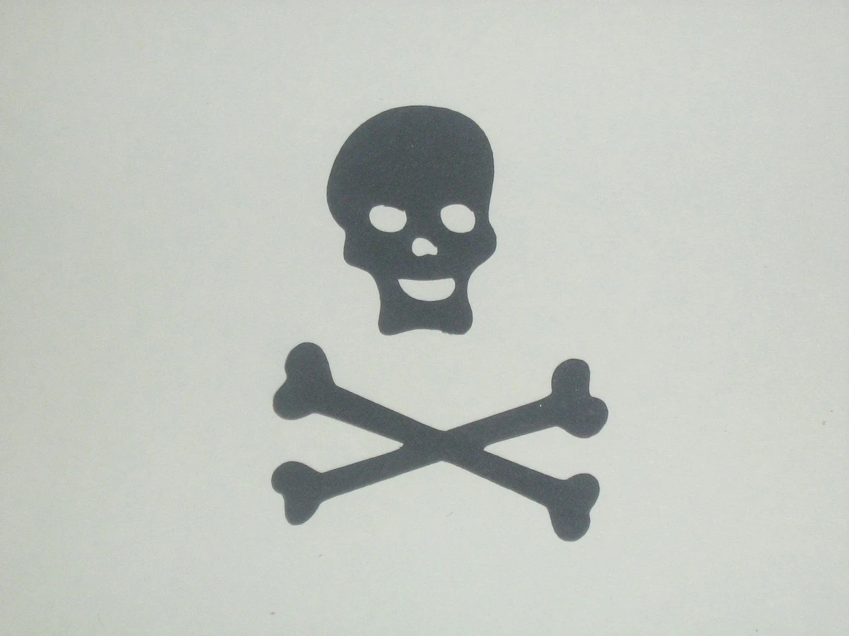 Neverland Pirates | Villains Wiki | Fandom