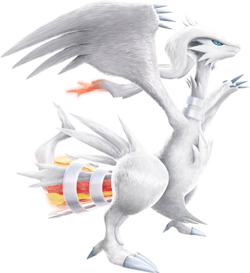 Reshiram (anime), Pokémon Wiki