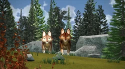 Widco appearing briefly as a cameo with Kallisca