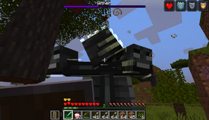 The Wither and the player, fighting to the death.