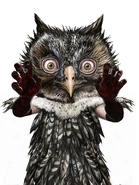 Kanna from Freak Island.jpg (1,018 KB)