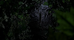 Smokey yells as he plummets into the pond below.