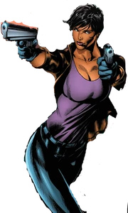 Amanda Waller in DC Comics during the New 52