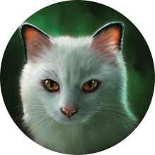 The Warriors Wiki changed their background to celebrate Squilfstar's new  title as leader! : r/WarriorCats