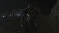 PesantaTransformation