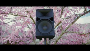 "Everyone will know just who you are. And Betty will despise you even more."