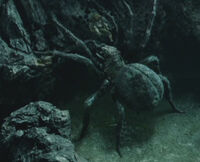 Shelob fighting