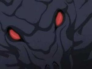 Chiropteran Amshel's face.