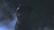 The Rottweiler inside the mist.