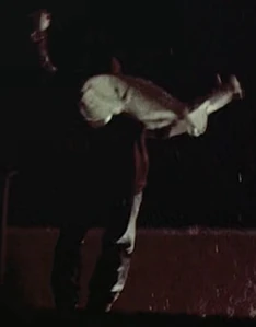 Gerald Demus Jump.jpg (46 KB) Escaping by jump down from the building.