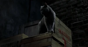 "Yeah, right. Whatever."