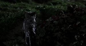 "Oh, this water's damn cold!"