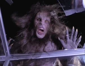 Fallon attacks Piper.