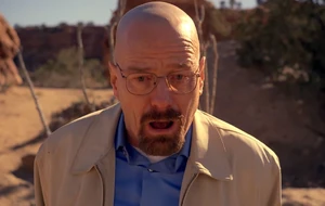 Walt's horrified reaction to Hank's death.