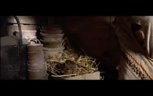 Pink puts the rat in a nest after his mother told him not to have it in the house.