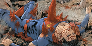 Death of Superman