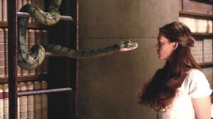 387484 363108717098985 158558172 n.jpg (28 KB)