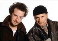 Harry and Marv (Home Alone series)