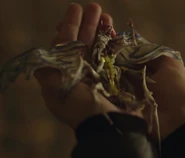 Ik Nobe Llok.png (370 KB) Ik Nobe Llok † - Former Warrior