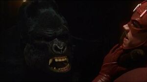 The Flash 1x21 - Flash vs Gorilla Grodd