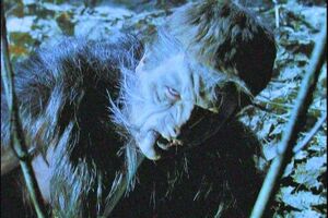 Will Partial.jpg (72 KB) Will partially transformed.