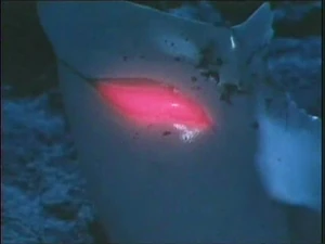 The remains of Lah Deus' face