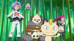 Team Rocket catchers Pancham & Pangoro