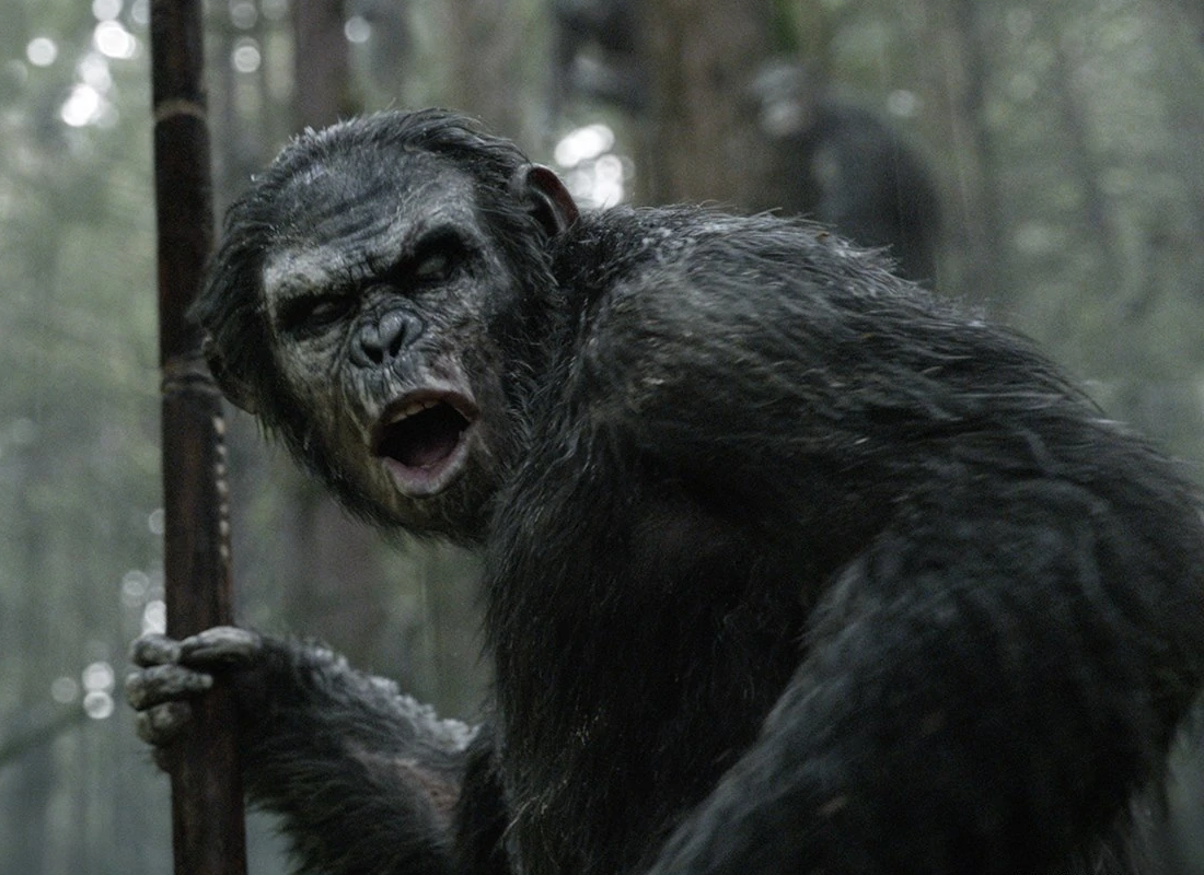 rise of the planet of the apes koba