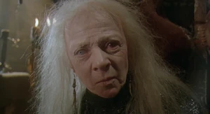 Mortianna 4.jpg (96 KB) Mortianna reveals that the Sheriff of Nottingham is her son