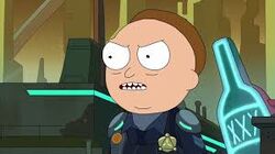 Cop Morty confronts Mortys