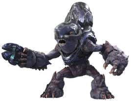 H5G Render GruntMinor